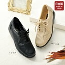 ウォーキングシューズ 靴 40代 50代 60代 70代 80代 ミセス シニア ファッション 大人 おしゃれ レディース / 牛革4E パンチングウォーキングシューズ