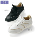 スニーカー シューズ レディース おしゃれ 40代 50代 60代 70代 80代 ミセス シニア ファッション / 5E コンビ デザイン スニーカー