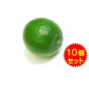 【お買得】メキシコ産 キーライム 10個セット 冷蔵【ライム 販売 激安】【レモン お買得】【ライム 通販】【カイピリーニャ モヒート ライム】【sale02】