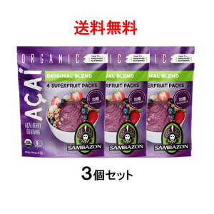 【送料無料】アサイー(アサイ) スムージー リオブレンド(加糖) 100g×12袋　サンバゾン【要冷凍】【あす楽対応】【アサイー　ジュース】【アサイー　スムージー】【アサイーピューレ】【アサイー　ダイエット】【冷凍食品】【非常食】【保存食】【長期保存】