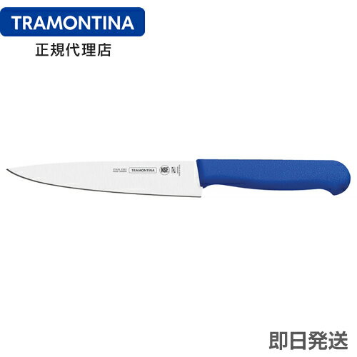 【キャンペーン中】TRAMONTINA 抗菌カラー包丁 筋引 6インチ(刃渡り約15cm) ブルー プロフェッショナルマスター fillet knife 6inc. blue profissional master トラモンティーナ【カラー包丁 青 激安】【カラーコントロール】【TS05】