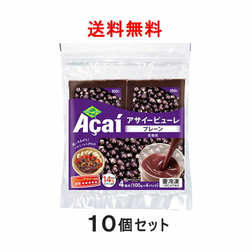 【3月31日出荷予定】【送料無料】アサイー パルプ 100g×40袋　フルッタフルッタ 無糖タイプ ★アサイーボウル・スムージーに★【要冷凍】【アサイーベリー　ジュース】【アサイー　スムージー】【アサイーピューレ】【アサイー　ダイエット】