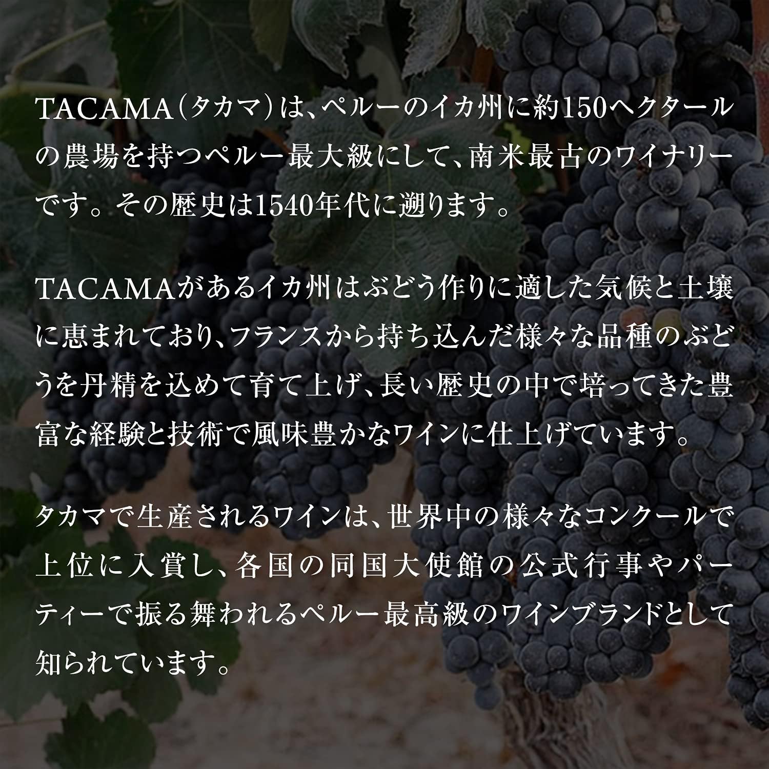 【送料無料】 TACAMA 赤ワイン グラン ティント 750ml 6本セット 【タカマ】 【ペ...