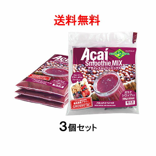 【送料無料】アサイー スムージー(ガラナ入り) 100g×12袋　フルッタフルッタ【要冷凍】【あす楽対応】【アサイージュース】【アサイーエナジー】【アサイーピューレ】【アサイー　ダイエット】【アサイー　効果】【アサイー　ベリー】