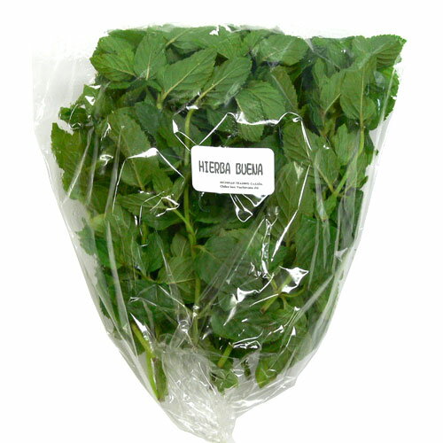 長野県阿智村産 菊芋 粉末 1200g（計量スプーン付） 【送料無料(沖縄を除く)】 国内加工殺菌品 国産菊芋パウダー イヌリン含有 NICHIGA(ニチガ) TK0