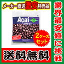 【メーカー直送・送料無料】アサイー パルプ 100g×120...
