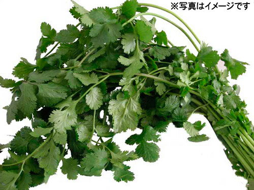 ������ۥ��ꥢ����� (�ѥ�����) �ڥ롼������ 300g��������ۡڥڥ롼�������ȥ����ۡڥڥ롼���ϡ��֡ۡڤ������б���10P04Mar17