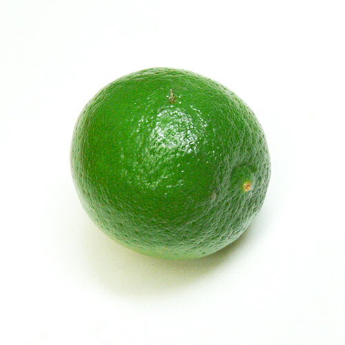 【酸味・香りよし】メキシコ産 キーライム 1個 冷蔵【ライム 販売 激安】【レモン お買得】【ライム 通販】【カイピリーニャ モヒート ライム】【sale02】