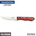 【キャンペーン】TRAMONTINA ジャンボステーキナイフ ポリウッド 25cm(刃渡り10.5cm)×12本セット ＜食洗機対応＞ トラモンティーナ 【ステーキナイフ 木】【TS03】