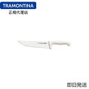 TRAMONTINA シュラスコ用ナイフ プロフェッショナルマスター 刃渡り10インチ(約26cm) プラスチックパック トラモンティーナ