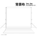激安セール【2mx3m】撮影用 背景布 背景シート 背景布 白色■058