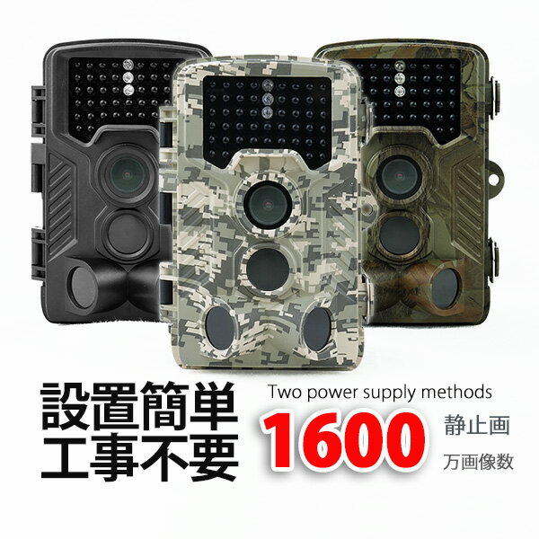 ȥȥ쥤륫鲰磻쥹ʹ󥵡IP56SDACץӼۡڥեHDƻŻ륪եѥڥåŹ޻̳־Ѳ̿ưֳֻƼưϿܸۡ1ǯݾڡ