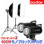 GODOX 400WȥܢʻƤ顢ʪƤޤ! Υ֥åȥ 2.5G¢ե2åȡեȥܥåջƾ̿Ѿ७åK400IIV148