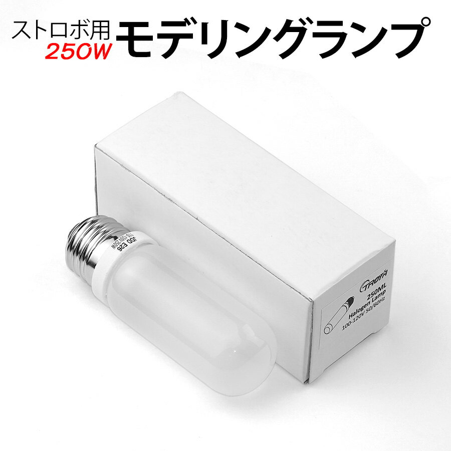 ڳŷѡSALE20%OFF ƾ ȥ ǥ󥰥 250W  ߴ  ͽ ڥ ϥ 100V ...