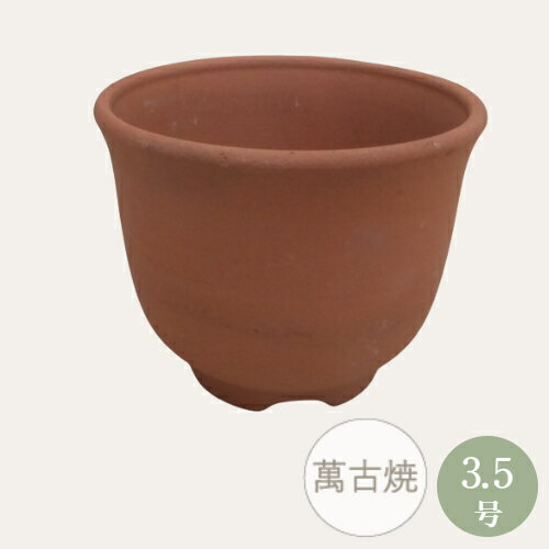 和鉢 山野草鉢  植木鉢 萬古焼 和風 陶器 日本製 3.5号エビネ鉢 (サイズ 直径10.3×高さ8.0cm)