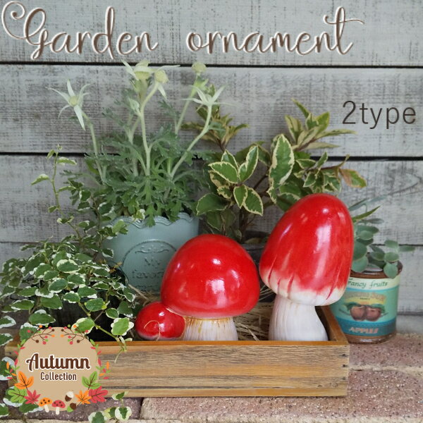 ԡ̸ꥪʥȡեʥ [852-1206A/B] Τ Υ mushroom ǥ󻨲 ƫ ƥꥢ ƥ ʪ ...