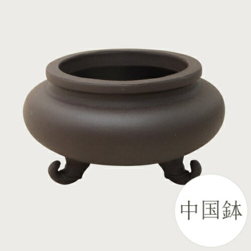 【良品　アウトレットセール】和鉢 盆栽鉢 中国鉢 (中国・宜興) [981-0301] ミニ盆栽 植木鉢 和風 陶器..