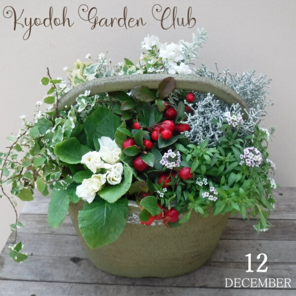 【寄せ植え】寄せ植え 季節の寄せ植え 季節の花苗 鉢植え[100-3016-4] 寄植 プロの寄せ植...