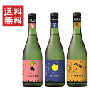 楽天創業大正10年　京枝屋酒店【送料無料※】 焼酎　まるにし会　飲み比べセット　720mlx3　≪芋芋麦≫　丸西酒造/限定流通