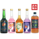 こだわりアロマ梅酒 大満足セットE 720ml x 5本【送料無料※地域限定】【あす楽】【楽ギフ_包装】【送料込】ジャスミン/ローズ/紅茶/GOLD/ラベンダー