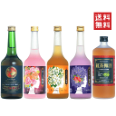 こだわりアロマ梅酒　大満足セットE　720ml x 5本【送料無料※地域限定】【あす楽】【楽ギフ_包装】【送料込】ジャスミン/ローズ/紅茶/GOLD/ラベンダー