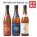 【 送料無料※ 】 MIYANOYUKI　BAGDE series　飲み比べセット　720mlx3　/宮崎本店/宮の雪/宮ノ雪/宮乃雪