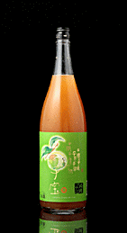 子宝　プレミアムリッチ梅酒　720ml　【※画像は1800ml】のサムネイル