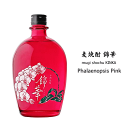 【 本数により送料無料 】 麦焼酎 錦華(きんか)Phalaenopsis Pink 25度 天星酒造/限定品/ファレノプシスピンク/胡蝶蘭