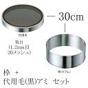 EBM ゴム付ステン枠 裏漉セット 代用毛 荒目(1.2mm目・20メッシュ) 30cm (EBM25-1)(589-1)