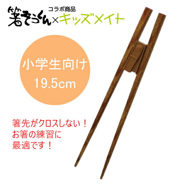 ※ゆうパケ送料無料※箸ぞうくんコラボ! 矯正箸 おつまみ ニュースクエア木箸 小学生向け19.5cm　キッズメイト[AKU-195M]箸先がクロスしない!こどもおけいこ箸 食事の練習用に。矯正はし