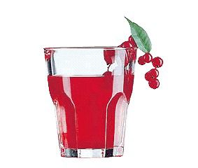 グラス・タンブラー12個入 270cc Arcoroc(アルコロック) グラニティシリーズ タンブラー オールドD0781..