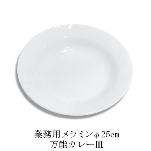 メラミン製 ザ カレー皿 直径250mm H35mm 白 K-P708-10 業務用 メラミン食器 食洗機対応 プラスチック 樹脂 皿 肉厚 コーティング有り 着色しにくい 万能カレー皿 メインプレート マルチプレート ディナープレート 深皿 パスタ皿 丸皿 24cm 25cm【在庫あり】