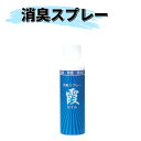 ヒロヤ (M-SS3) 剣道 消臭スプレー 霞 220ml 消臭 除菌 防カビ 消臭剤 メンテナンス用品