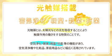 剣道 メッシュケース メッシュ 剣道道着ケース 袴ケース 鐵心