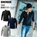 CUC 長袖ラガーシャツ 1250