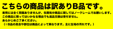 訳あり《礼装 レース上肌着:4》女性用 レース付き着物用肌着(肌襦袢) M/L 綿 和装 婚礼用 下着 着物 浴衣 和装下着 礼装用 花嫁【メール便配送可】{P50}