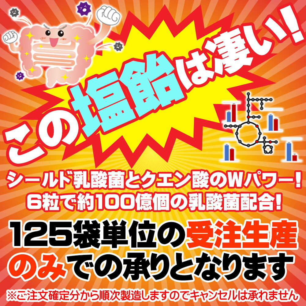 【 送料無料 】 森永乳業 シールド乳酸菌 配合【 業務用 クエン酸 塩飴 180g×125袋 セット 】 受注生産品 塩飴 塩分補給 大袋 工事現場 体育 個包装 大量 健康志向 災害 避難所 救援物資 熱中症対策グッズ 農作業 熱中症 対策 水分補給 まとめ買い パンダ皿対象商品 3