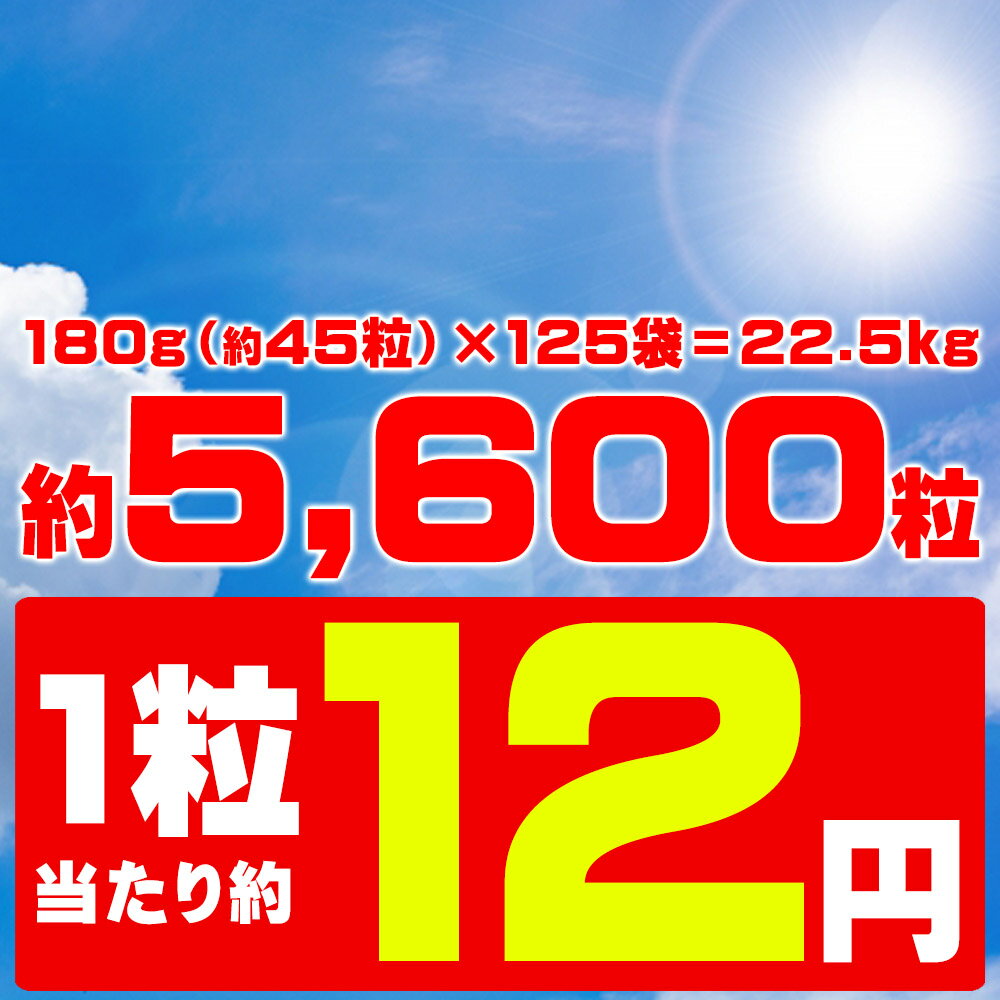 【 送料無料 】 森永乳業 シールド乳酸菌 配合【 業務用 クエン酸 塩飴 180g×125袋 セット 】 受注生産品 塩飴 塩分補給 大袋 工事現場 体育 個包装 大量 健康志向 災害 避難所 救援物資 熱中症対策グッズ 農作業 熱中症 対策 水分補給 まとめ買い パンダ皿対象商品 2