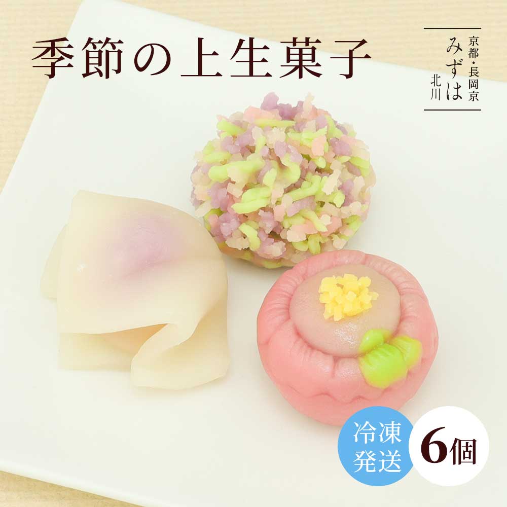 【数量限定】季節の上生菓子6個入【冷凍発送】冷凍品以外と同梱不可 スイーツ プレゼント 高級 お取り寄せ 京都 和菓子 詰め合わせ 保存料不使用