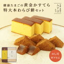 父の日 和菓子 ギフト | かすてら・特大本わらび餅セット【のし紙可】【送料無料】 スイーツ プレゼント 高級 お取り寄せ 京都 和菓子 詰め合わせ 保存料不使...