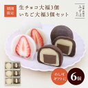 ホワイトデーギフト | 生チョコ大福3個・いちご大福3個セット【のし紙可】白あん 大粒苺 ギフト 京都 和菓子 銘菓 取り寄せ 通販 人気 絶品 有名 苺大福【いちご大福の消費期限は到着日当日】【北海道・秋田・青森・岩手・沖縄への発送不可】