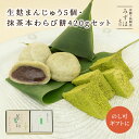 生麩まんじゅう5個・抹茶本わらび餅セット【のし紙可】 スイーツ プレゼント 高級 お取り寄せ 京都 和菓子 詰め合わせ