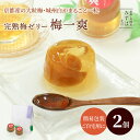 お中元 和菓子 ギフト | プチギフト | 大粒完熟梅ゼリー・梅一爽2個袋 保存料不使用