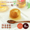 お中元 和菓子 ギフト | 大粒完熟梅ゼリー・梅一爽8個入【のし紙可】【送料無料】 スイーツ プレゼント 高級 お取り寄せ 京都 和菓子 保存料不使用