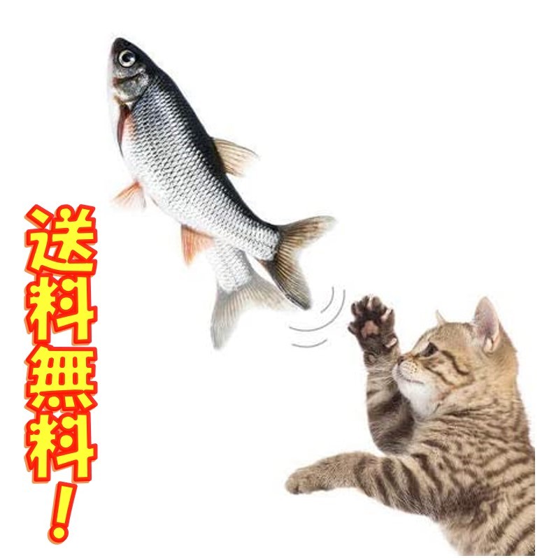 猫に生魚は与えないほうがよい あそぶろ