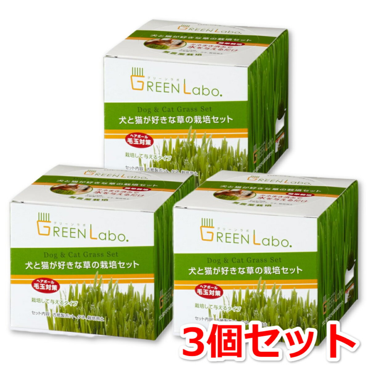 GreenLabo 犬と猫が好きな草の栽培セット ×3個セット グリーンラボ 猫草 送料無料