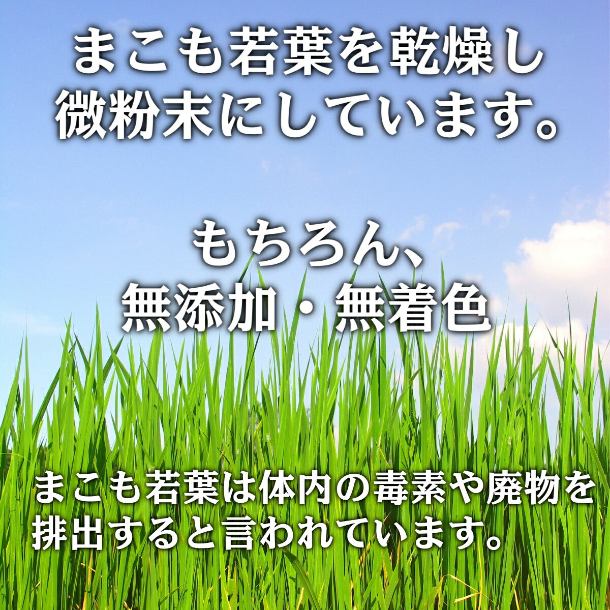 まこも パウダー 100g ×3袋セット 真菰 若葉 国産 無添加 マコモタケ マコモダケ ...