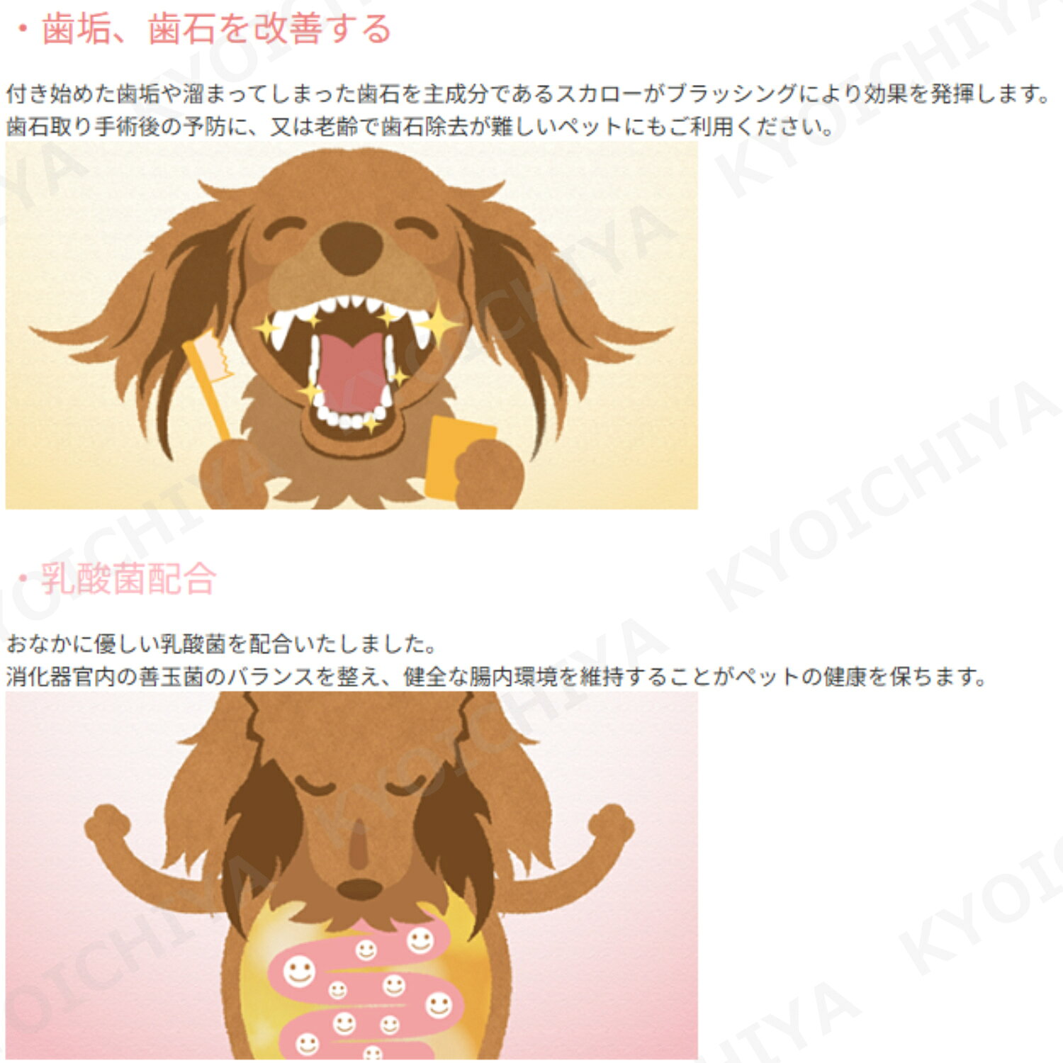 スカローデンタルジェル 無香料 犬 歯磨き 40g ＆ Wowono！無添加デンタルスティック10本×1袋 セット kyoichiya-10001709 京一屋 サンプル画像3