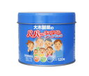 大木製薬 パパーチュアブル ケフィアCa+D 120粒