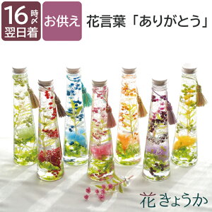 【あす楽&日付指定可】 お供え物 贈り物 お供え 花 お悔やみ お盆 『 カーネーション 入り ありがとう の 花束 ハーバリウム 』 仏花 枯れない花 お悔み 供花 献花 命日 仏壇用 お供え花 供物 喪中見舞い プリザーブドフラワー ドライフラワー 一周忌 三回忌 即日発送